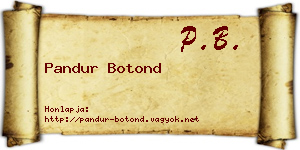 Pandur Botond névjegykártya